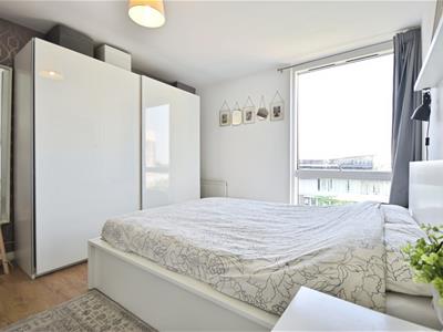 Picture 8